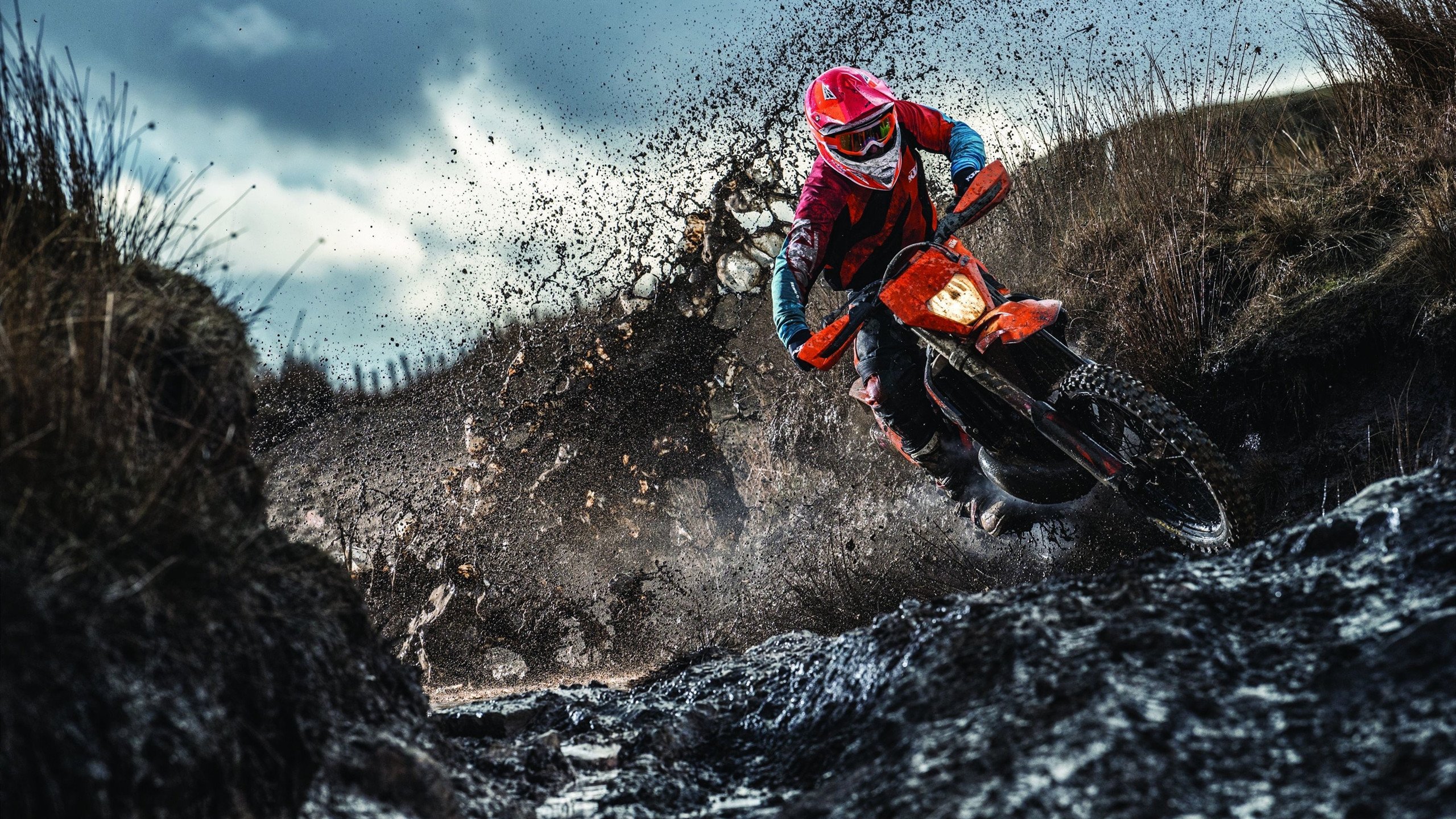 奥卡拉汉刷新个人100米自由泳最佳成绩,奥运2021自由泳100米决赛