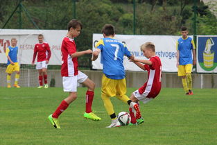 九游娱乐在线-PSG球迷对未来充满期待与担忧，psg-esports